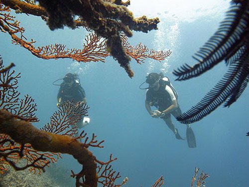 Deep Halik, Gili Trawangan