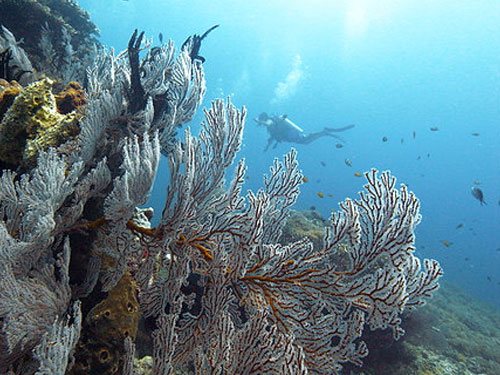 Deep Turbo, Gili Trawangan