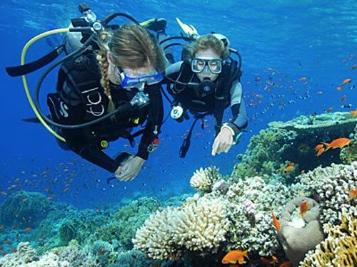 Goodheart Reef, Gili Trawangan