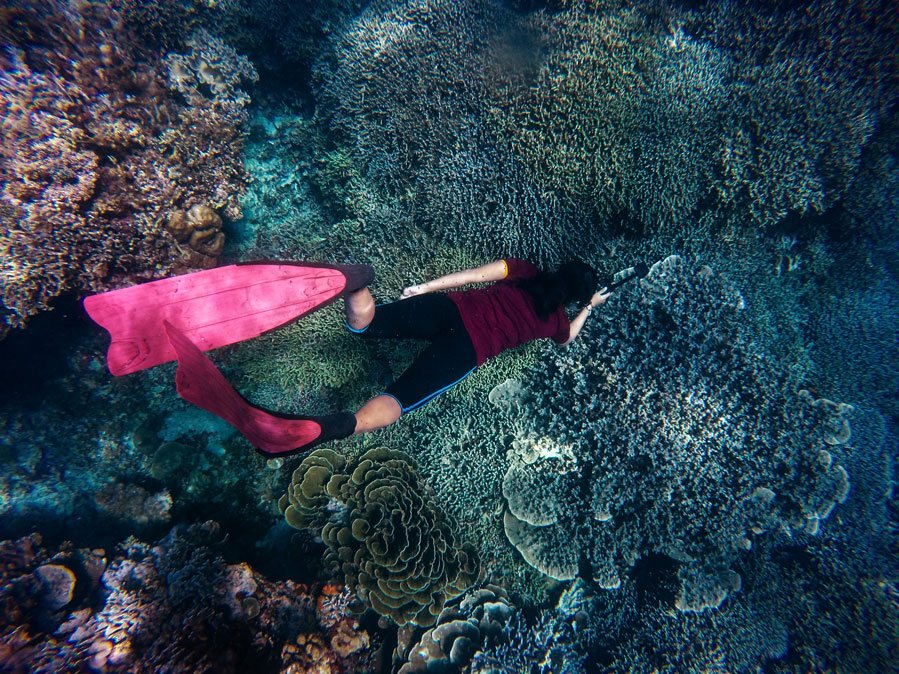 Snorkeling avec les tortues à Gili Trawangan : le récif de Halik